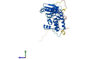AlphaFold protein structure predicition of Human Recombinant PRKY Protein, UniprotID O43930 (PRKY Protein (AA 1-277) (His tag))