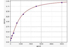 Caspase 2 ELISA Kit