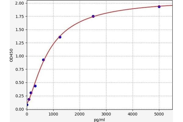 Caspase 2 ELISA Kit