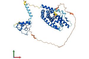 AlphaFold protein structure predicition of Mouse Recombinant Nr1h3 Protein, UniprotID Q9Z0Y9 (NR1H3 Protein (AA 1-445) (His tag))