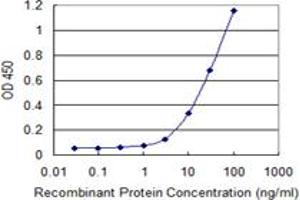 Detection limit for recombinant GST tagged RAB28 is 1 ng/ml as a capture antibody. (RAB28 antibody  (AA 1-95))