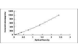 Typical standard curve (IL-13 ELISA Kit)
