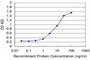 Detection limit for recombinant GST tagged TP53RK is approximately 1ng/ml as a capture antibody. (TP53RK antibody  (AA 154-253))