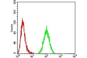 Flow Cytometry (FACS) image for anti-Acyl-CoA Synthetase Short-Chain Family Member 1 (ACSS1) (AA 548-689) antibody (ABIN7193394)