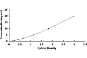 Typical standard curve (MGEA5 ELISA Kit)