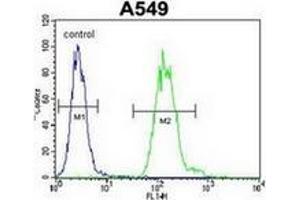 Flow cytometric analysis of A549 cells using TTRAP Antibody (C-term) Cat. (TDP2 antibody  (C-Term))