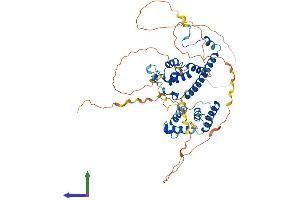 Protein Structure (PS) image for REST Corepressor 2 (Rcor2) (AA 1-523) protein (His tag) (ABIN7559182)