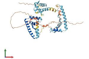AlphaFold protein structure predicition of Human Recombinant UBTFL6 Protein, UniprotID P0CB48 (UBTFL6 Protein (AA 1-400) (His tag))