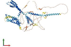 AlphaFold protein structure predicition of Human Recombinant KCNQ1 Protein, UniprotID P51787 (KCNQ1 Protein (AA 1-676) (His tag))