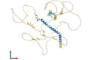 AlphaFold protein structure predicition of Mouse Recombinant Tagap1 Protein, UniprotID P0CAX8 (Tagap1 Protein (AA 1-505) (His tag))