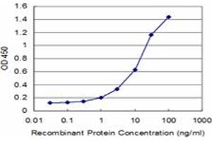 Detection limit for recombinant GST tagged FOLR2 is approximately 1ng/ml as a capture antibody. (FOLR2 antibody  (AA 36-128))