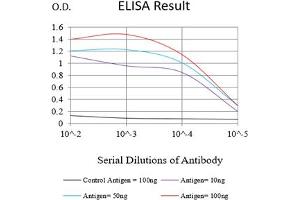 Black line: Control Antigen (100 ng),Purple line: Antigen (10 ng), Blue line: Antigen (50 ng), Red line:Antigen (100 ng) (GSTP1 antibody  (AA 2-210))