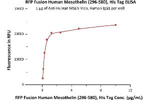 ELISA image for Mesothelin (MSLN) (AA 296-580) (Active) protein (His tag,RFP tag) (ABIN6731266)