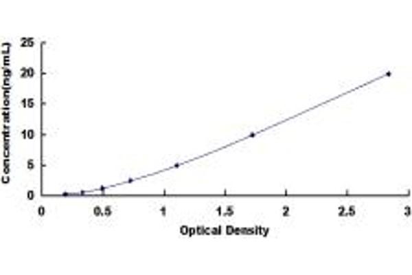 DSTYK ELISA Kit