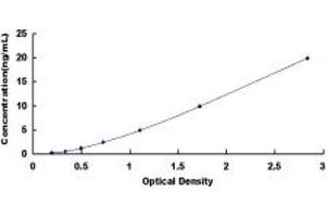Typical standard curve (DSTYK ELISA Kit)