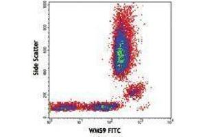 Flow Cytometry (FACS) image for anti-Platelet/endothelial Cell Adhesion Molecule (PECAM1) antibody (FITC) (ABIN2661660) (CD31 antibody  (FITC))