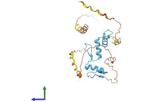 AlphaFold protein structure predicition of Human Recombinant KLF16 Protein, UniprotID Q9BXK1