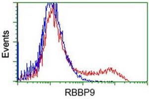 HEK293T cells transfected with either RC202090 overexpress plasmid (Red) or empty vector control plasmid (Blue) were immunostained by anti-RBBP9 antibody (ABIN2453589), and then analyzed by flow cytometry. (RBBP9 antibody)