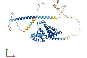 Protein Structure (PS) image for Family with Sequence Similarity 82, Member A2 (FAM82A2) (AA 1-470) protein (His tag) (ABIN7557211)