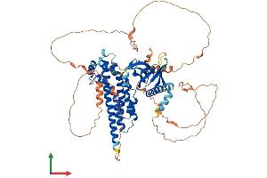 AlphaFold protein structure predicition of Mouse Recombinant Arhgef25 Protein, UniprotID Q9CWR0