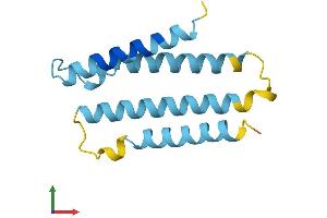 AlphaFold protein structure predicition of Human Recombinant TMEM60 Protein, UniprotID Q9H2L4 (TMEM60 Protein (AA 1-133) (His tag))