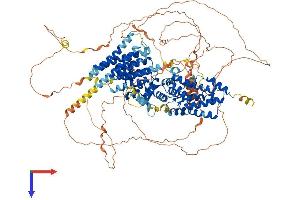 GRF2 Protein (AA 1-1077) (His tag)