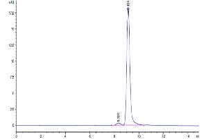 Size-exclusion chromatography-High Pressure Liquid Chromatography (SEC-HPLC) image for Annexin A1 (ANXA1) (AA 2-346) protein (His tag) (ABIN7273843)