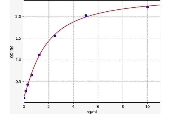 TYROBP ELISA Kit
