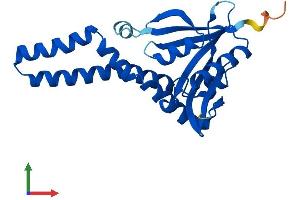 AlphaFold protein structure predicition of Mouse Recombinant Nat8 Protein, UniprotID Q9JIY7 (NAT8 Protein (AA 1-227) (His tag))