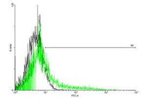 FACS analysis of negative control 293 cells (Black) and IL2RB expressing 293 cells (Green) using IL2RB purified MaxPab mouse polyclonal antibody. (IL2 Receptor beta antibody  (AA 1-551))