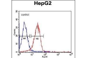ITA6 Monoclonal Antibody (ABIN658988 and ABIN2838034) flow cytometric analysis of HepG2 cells (right histogram) compared to a negative control cell (left histogram). (ITGA6 antibody)