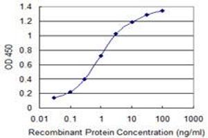 Detection limit for recombinant GST tagged IL27 is 0. (IL-27 antibody  (AA 177-243))