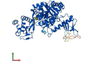 Protein Structure (PS) image for UDP-N-Acteylglucosamine Pyrophosphorylase 1 (UAP1) (AA 1-522) protein (His tag) (ABIN7544944)