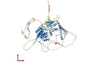 Protein Structure (PS) image for DEAD (Asp-Glu-Ala-Asp) Box Polypeptide 24 (DDX24) (AA 1-859) protein (His tag) (ABIN7547083)