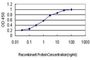 Detection limit for recombinant GST tagged MARK2 is approximately 0. (MARK2 antibody  (AA 401-500))