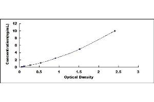 Typical standard curve (SLC11A2 ELISA Kit)