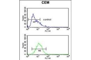 Flow Cytometry (FACS) image for anti-Hemopexin (HPX) (AA 200-227) antibody (ABIN390596)