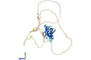 AlphaFold protein structure predicition of Human Recombinant SPATA22 Protein, UniprotID Q8NHS9