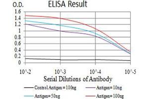 ELISA image for anti-RAB6B, Member RAS Oncogene Family (RAB6B) (AA 95-208) antibody (ABIN5542692)