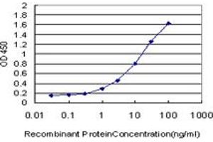 Detection limit for recombinant GST tagged STAT5B is approximately 0. (STAT5B antibody  (AA 1-390))