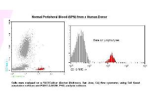 Image no. 1 for anti-CD19 Molecule (CD19) antibody (FITC) (ABIN1112075) (CD19 antibody  (FITC))