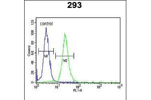 Flow cytometric analysis of 293 cells (right histogram) compared to a negative control cell (left histogram). (LMBR1L antibody  (C-Term))