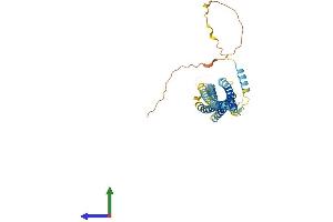 Protein Structure (PS) image for Syntaxin 5 (STX5) (AA 1-355) protein (His tag) (ABIN7546426)