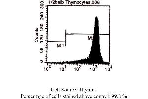 Mouse anti CD90 (Thy-1. (CD90 antibody)