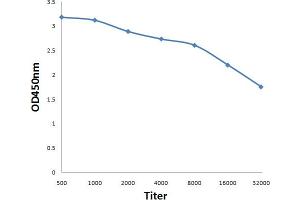 Antigen: 0. (Mycoplasma Gallisepticum antibody)