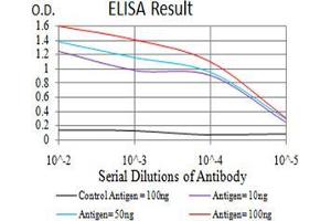 Black line: Control Antigen (100 ng);Purple line: Antigen (10ng); Blue line: Antigen (50 ng); Red line:Antigen (100 ng) (MAPK10 antibody  (AA 180-329))