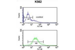 Flow Cytometry (FACS) image for anti-Ribosomal Protein S15a (RA) antibody (ABIN3002138) (RPS15A antibody)
