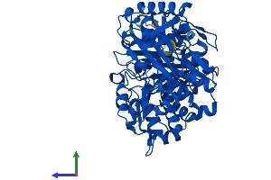 Protein Structure (PS) image for Phosphoglucomutase 5 (PGM5) (AA 1-567) protein (His tag) (ABIN7559039)
