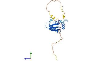 Protein Structure (PS) image for Ribosomal Protein S10 (RPS10) (AA 1-165) protein (His tag) (ABIN7551562)