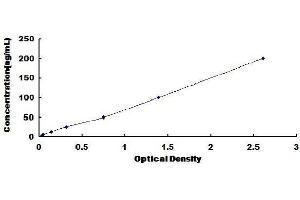 ELISA image for CD38 ELISA Kit (ABIN1568767) (CD38 ELISA Kit)